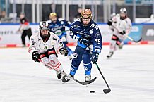 Eishockey, Frauen, DFEL, Saison 2024-2025, ERC Ingolstadt - ECDC Memmingen Indians, 16.11.2024