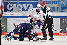Eishockey, Herren, DEL, Saison 2024-2025, Spieltag 17, ERC Ingolstadt - Adler Mannheim, 17.11.2024