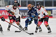 Eishockey, Frauen, DFEL, Saison 2024-2025, ERC Ingolstadt - EC Bergkamener Bären, 04.01.2025