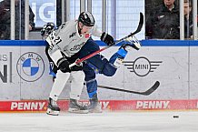 Eishockey, Herren, DEL, Saison 2024-2025, Spieltag 36, ERC Ingolstadt - Kölner Haie, 12.01.2025