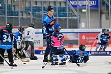 Eishockey, Saison 2025-2026, ERC Ingolstadt - Kids On Ice Day, 29.11.2025