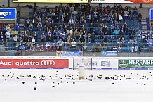 ERC Ingolstadt vs Eisbären Berlin, DEL, Deutsche Eishockey Liga, Spieltag 49, 22.02.2019