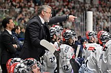 Eishockey, Herren, DEL, Saison 2023-2024, Spieltag 41, Augsburger Panther - ERC Ingolstadt, 26.01.2024