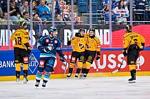 Hockey, Mens, CHL, Season 2025-2026, Regular Season, Game Day 2, ERC Ingolstadt - Kalpa Kuopio, 30.08.2025