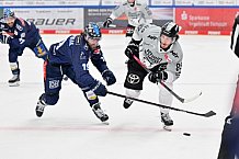 Eishockey, Herren, DEL, Saison 2024-2025, Playoffs Halbfinale, Spiel 5, ERC Ingolstadt - Kölner Haie, 11.04.2025