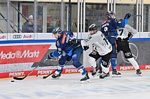Eishockey, Herren, DEL, Saison 2024-2025, Spieltag 42, ERC Ingolstadt - Kölner Haie, 31.01.2025