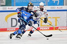 Eishockey, Frauen, DFEL, Saison 2023-2024, ERC Ingolstadt - ESC Planegg-Würmtal, 26.11.2023