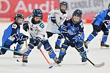 Eishockey, Herren, DEL, Saison 2024-2025, Spieltag 8, ERC Ingolstadt - Grizzlys Wolfsburg, 11.10.2024