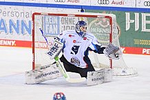Eishockey, Herren, DEL, Saison 2020-2021, ERC Ingolstadt - Straubing Tigers, 10.02.2021