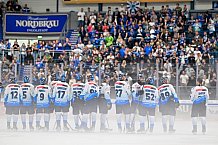 Eishockey, Herren, DEL, Saison 2024-2025, Vorbereitung, ERC Ingolstadt - Dresdner Eislöwen, 18.08.2024