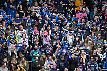 Eishockey, Herren, DEL, Saison 2025-2026, Spiel 16, ERC Ingolstadt - Kölner Haie, 31.10.2025