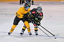 Eishockey, Herren, DEL, Saison 2026-2027, HC Falkensteiner Pustertal - HC Verva Litvinov, 23.08.2026
