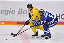 ERC Ingolstadt vs Krefeld Pinguine, DEL, Deutsche Eishockey Liga, Spieltag 44, 01.02.2019