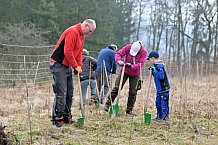 Eishockey, Herren, DEL, Saison 2023-2024, ERC Ingolstadt - Baumpflanzaktion, 02.03.2024