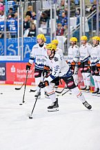 Eishockey, Herren, DEL, Saison 2026-2027, Spieltag 8, ERC Ingolstadt - Löwen Frankfurt, 11.10.2026