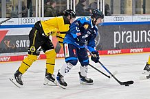 Eishockey, Herren, U20 DNL, Saison 2025-2026, ERC Ingolstadt - Krefeld Pinguine, 10.01.2026