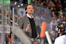 ERC Ingolstadt vs Grizzlys Wolfsburg, Eishockey, DEL, Deutsche Eishockey Liga, Spieltag 37, 13.01.2017