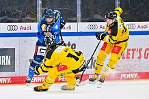 Eishockey, U20, DNL, Saison 2024-2025, ERC Ingolstadt - Krefelder EV 81, 01.03.2025