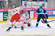 Hockey, Mens, CHL, Season 2025-2026, Regular Season, Round of 16, ERC Ingolstadt - EC Red Bull Salzburg, 12.11.2025
