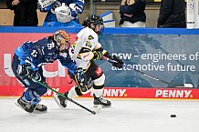 Eishockey, Frauen, DFEL, Vorbereitung, Saison 202-2025, ERC Ingolstadt - St. Pölten, 07.09.2024