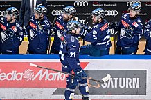 Eishockey, Herren, DEL, Saison 2024-2025, Playoffs Halbfinale, Spiel 1, ERC Ingolstadt - Kölner Haie, 02.04.2025