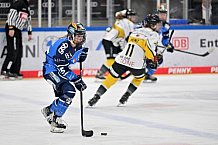 Eishockey, Frauen, DFEL, Saison 2023-2024, ERC Ingolstadt - Mad Dogs Mannheim, 18.02.2024