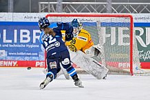 Eishockey, Frauen, DFEL, Saison 2025-2026, Testspiel, ERC Ingolstadt - HC Davos, 14.02.2026