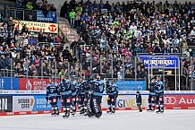 Eishockey, Herren, DEL, Saison 2022-2023, Spieltag 58, ERC Ingolstadt - Bietigheim Steelers, 28.02.2023