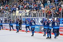 Eishockey, Herren, DEL, Saison 2024-2025, Spieltag 11, ERC Ingolstadt - Pinguins Bremerhaven, 20.10.2024