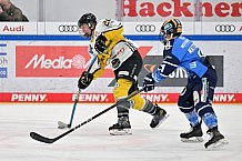 Eishockey, Frauen, DFEL, Saison 2023-2024, ERC Ingolstadt - Mad Dogs Mannheim, 18.02.2024