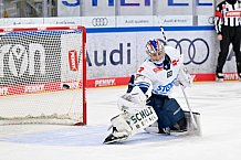 Eishockey, Herren, DEL, Saison 2025-2026, Spiel 43, ERC Ingolstadt - Schwenninger Wild Wings, 25.01.2026