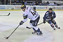 Straubing Tigers vs ERC Ingolstadt, Eishockey, DEL, Deutsche Eishockey Liga, Spieltag 28, 18.12.2016
