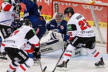 ERC Ingolstadt - Koelner Haie, Eishockey, DEL, Deutsche Eishockey Liga, Spieltag 44, 07.02.2016