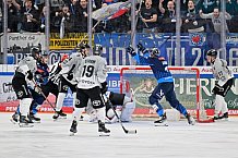 Eishockey, Herren, DEL, Saison 2024-2025, Spieltag 36, ERC Ingolstadt - Kölner Haie, 12.01.2025