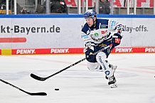 Eishockey, Herren, DEL, Saison 2023-2024, Spieltag 21, ERC Ingolstadt - Iserlohn Roosters, 23.11.2023