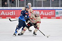 Eishockey, Herren, DEL, Saison 2024-2025, Vorbereitung, ERC Ingolstadt - Nürnberg Ice Tigers, 15.09.2024
