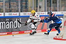 Eishockey, Herren, DEL, Saison 2024-2025, Spieltag 14, ERC Ingolstadt - Löwen Frankfurt, 31.10.2024