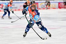 Eishockey, Frauen, DFEL, Saison 2024-2025, ERC Ingolstadt - EC Bergkamener Bären, 05.01.2025