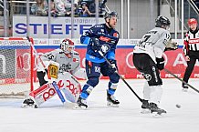 Eishockey, Herren, DEL, Saison 2024-2025, Spieltag 36, ERC Ingolstadt - Kölner Haie, 12.01.2025