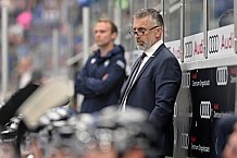 Eishockey, Herren, DEL, Saison 2024-2025, Vorbereitung, ERC Ingolstadt - Dresdner Eislöwen, 18.08.2024