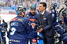 Eishockey, Herren, DEL, Saison 2024-2025, Spieltag 41, ERC Ingolstadt - Eisbären Berlin, 26.02.2025