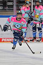 Eishockey, Frauen, DFEL, Saison 2023-2024, ERC Ingolstadt - Amsterdam Tigers, 06.01.2024