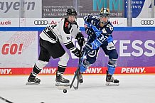Eishockey, Frauen, DFEL, Saison 2023-2024, ERC Ingolstadt - Amsterdam Tigers, 06.01.2024