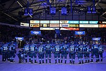 Eishockey, Herren, DEL, Saison 2022-2023, Spieltag 33, ERC Ingolstadt - Schwenninger Wild Wings, 21.12.2022