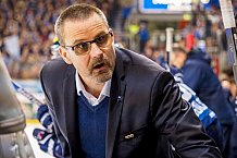 ERC Ingolstadt vs Thomas Sabo Ice Tigers, Eishockey, DEL, Deutsche Eishockey Liga, Spieltag 34,  03.01.2017