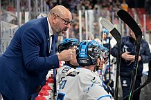 Eishockey, Herren, DEL, Saison 2025-2026, Spiel 24, Nürnberg Ice Tigers - ERC Ingolstadt, 30.11.2025