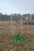 Eishockey, Herren, DEL, Saison 2023-2024, ERC Ingolstadt - Baumpflanzaktion, 02.03.2024