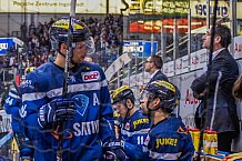 ERC Ingolstadt - Krefeld Pinguine, Eishockey, DEL, Deutsche Eishockey Liga, Spieltag 35, 05.01.2017