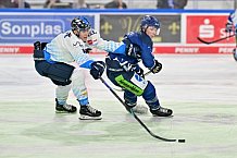 Eishockey, Herren, Gäuboden-Cup 2024, Straubing Tigers - ERC Ingolstadt, 29.08.2024