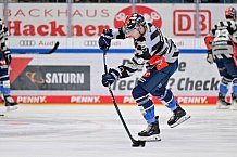 Eishockey, Herren, DEL, Saison 2023-2024, Spieltag 23, ERC Ingolstadt - Straubing Tigers, 01.12.2023
